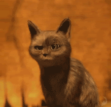 Jokes/Fun girl avatar share photo insects vertebrates 